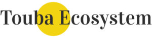 Touba Ecosystem Logo